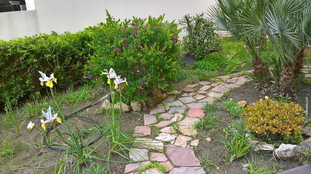 Appartamento Tulipano Alghero Luaran gambar