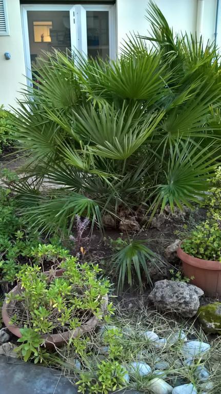 Appartamento Tulipano Alghero Luaran gambar